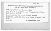 Eupropolella vaccinii image